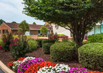 Delmar Gardens on the Green landscaping