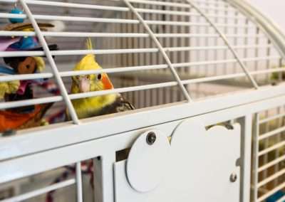 Bird cage at Delmar Gardens of Meramec Valley